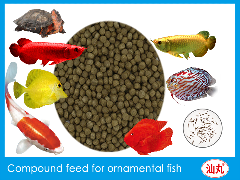 shanwan fishfood