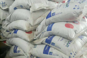 Shantou_langjie_fishmeal